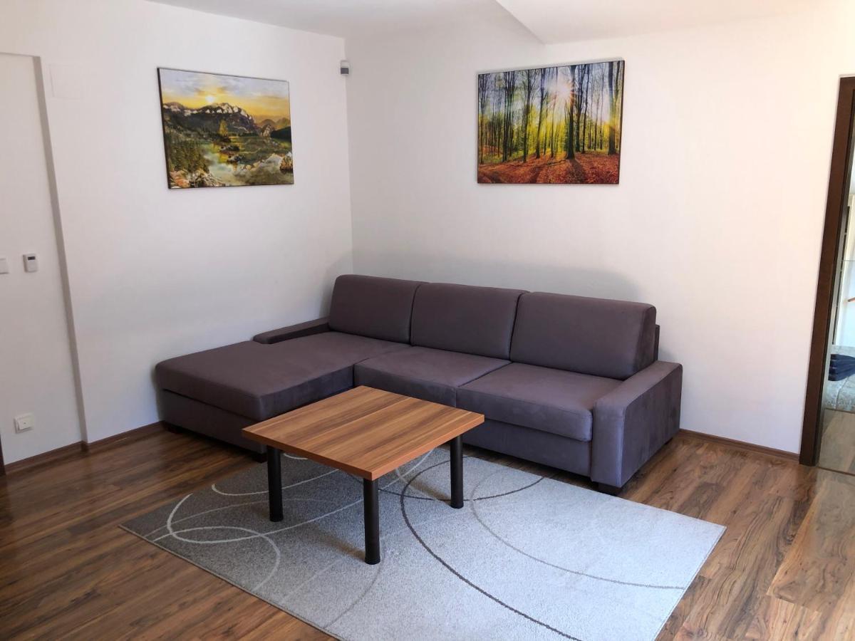 Appartement Vila Helena - Apartman Helena 15 à Ruzomberok Extérieur photo